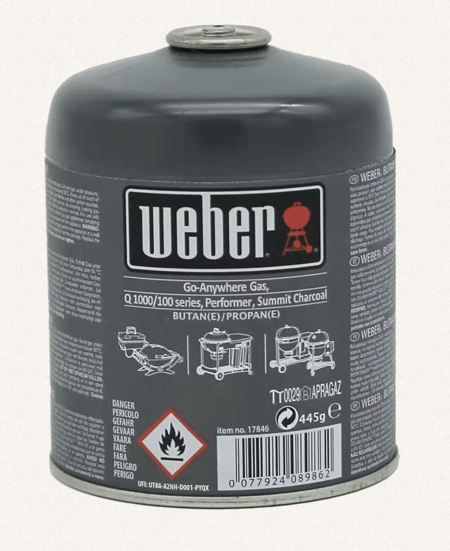 Губка для чистки гриля WEBER